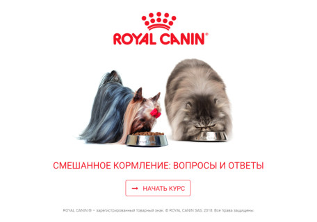 Онлайн-курс компании Royal Canin