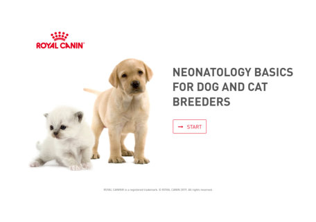 Онлайн-курс компании Royal Canin